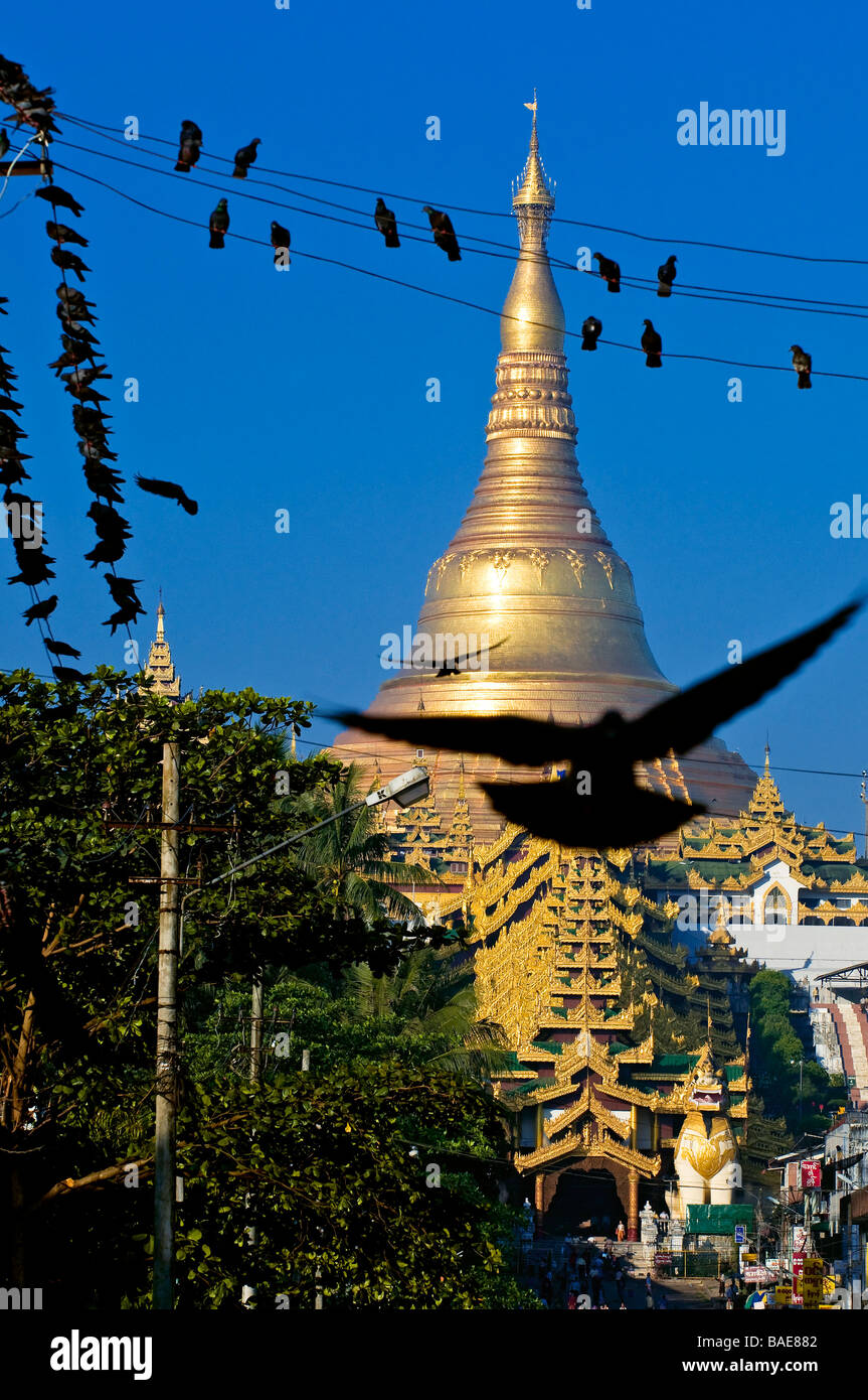 Myanmar (Birmanie), Division de Yangon, Yangon, district de Kandawgyi Avenue, Gabaraye Pagode, la pagode Shwedagon, le Moyen-Orient Banque D'Images