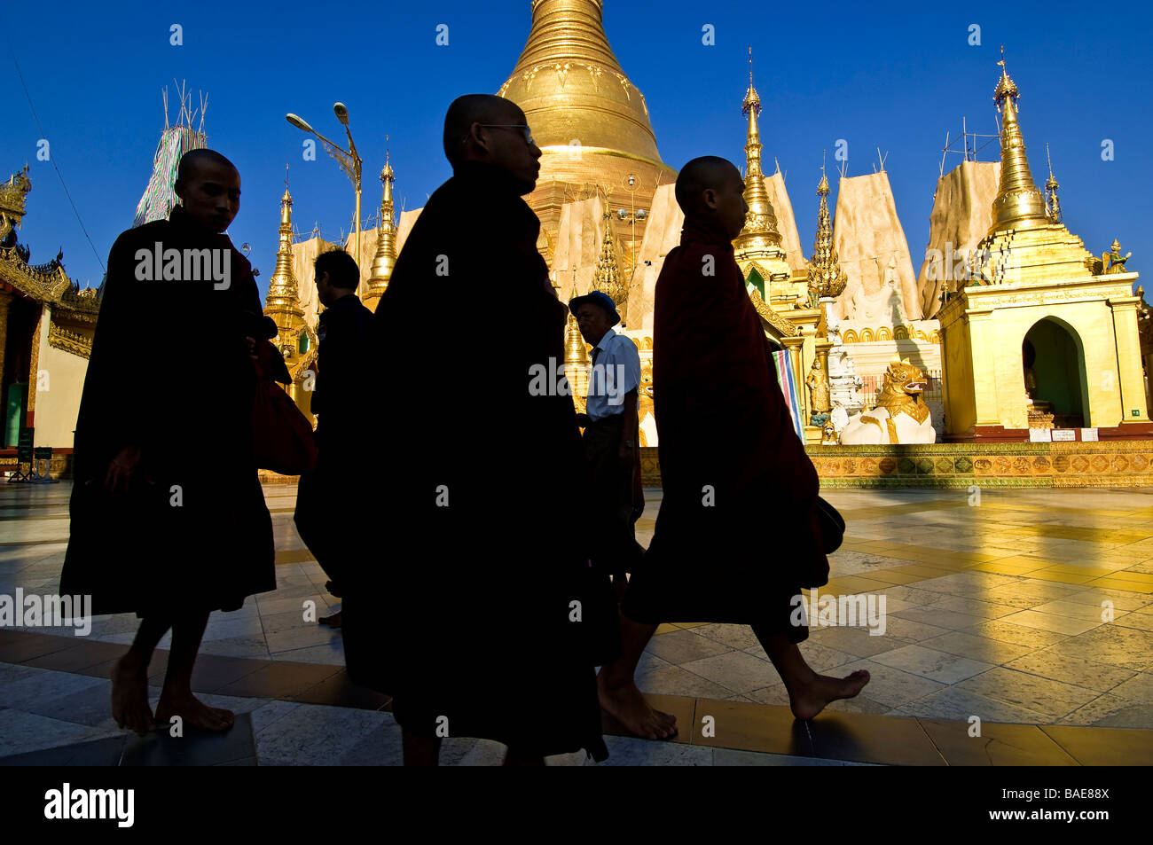 Myanmar (Birmanie), Division de Yangon, Yangon, colline Singuttara, les pèlerins à l'intérieur de la pagode Shwedagon Banque D'Images