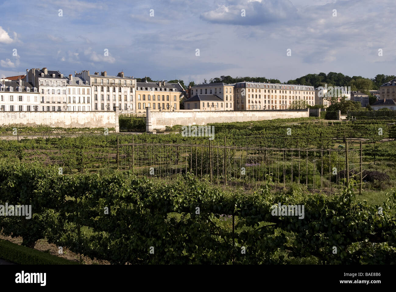 France, Yvelines, Le Château de Versailles Parc, classé au Patrimoine Mondial par l'UNESCO, potager du roi réalisé par Banque D'Images