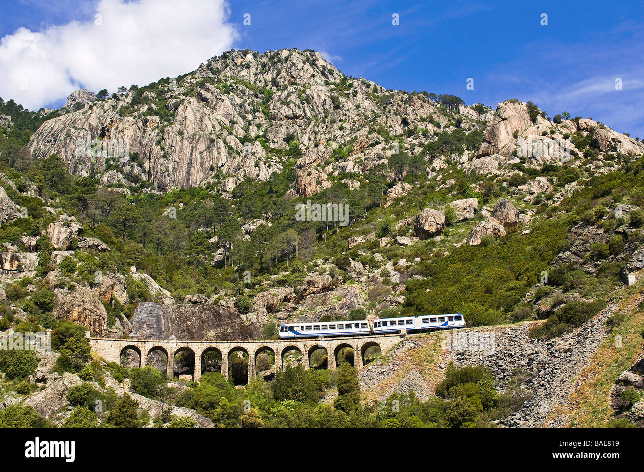 France, Haute Corse, le Trinighellu, le petit train Corse sur un viaduc avant l'arrivée à Venaco sur le voyage Banque D'Images