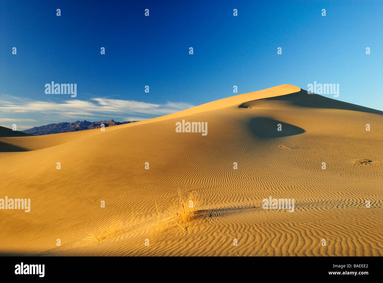 Dunes de sable dans la vallée de la mort, Californie Banque D'Images