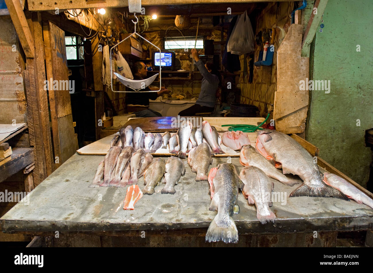 Saumon sur un étal dans le marché artisanal. Puerto Montt, Chili. Banque D'Images