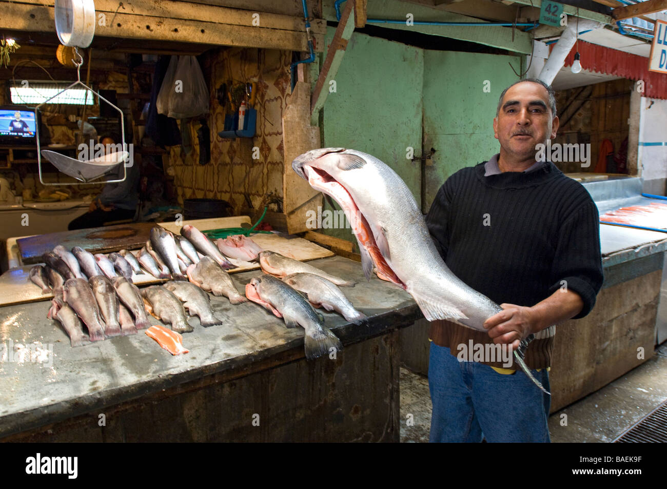 Arborant fièrement un grand pêcheur de saumon dans le marché artisanal. Puerto Montt, Chili. Banque D'Images