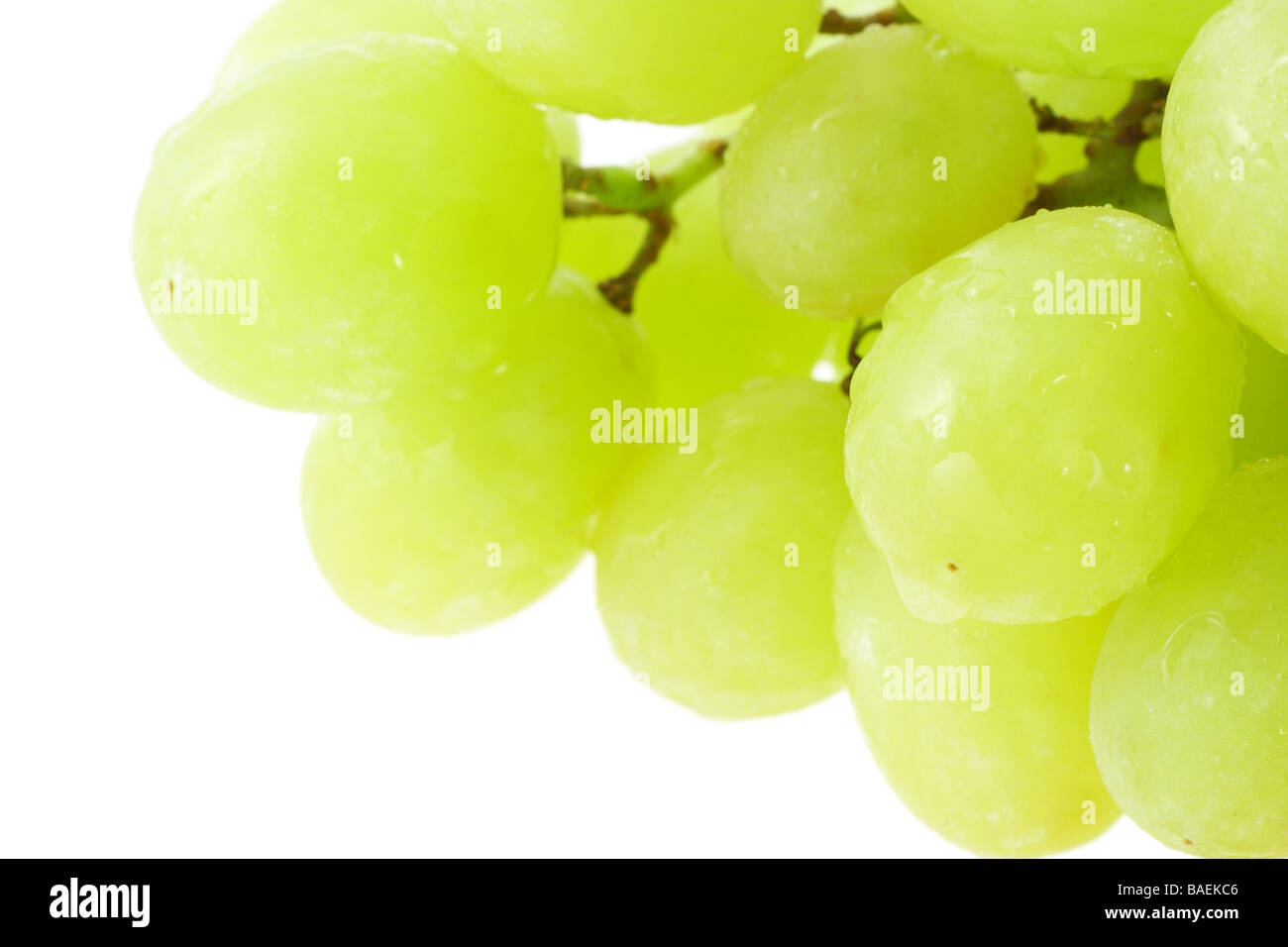 Close up d'un tas de raisins verts with copy space Banque D'Images