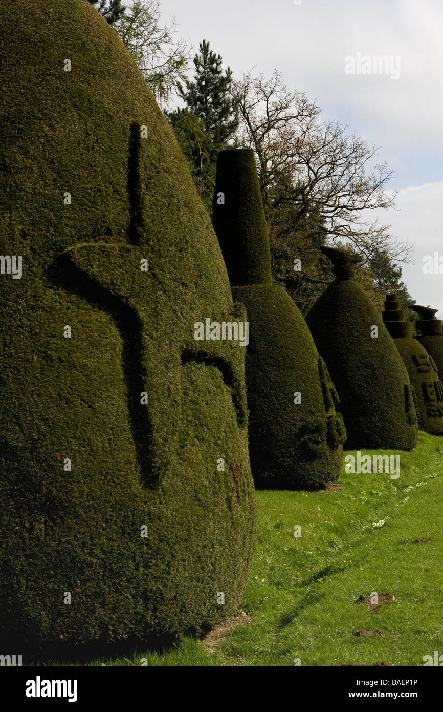 Clipsham, Yew Tree avenue à Rutland montre l'art de topiary Banque D'Images