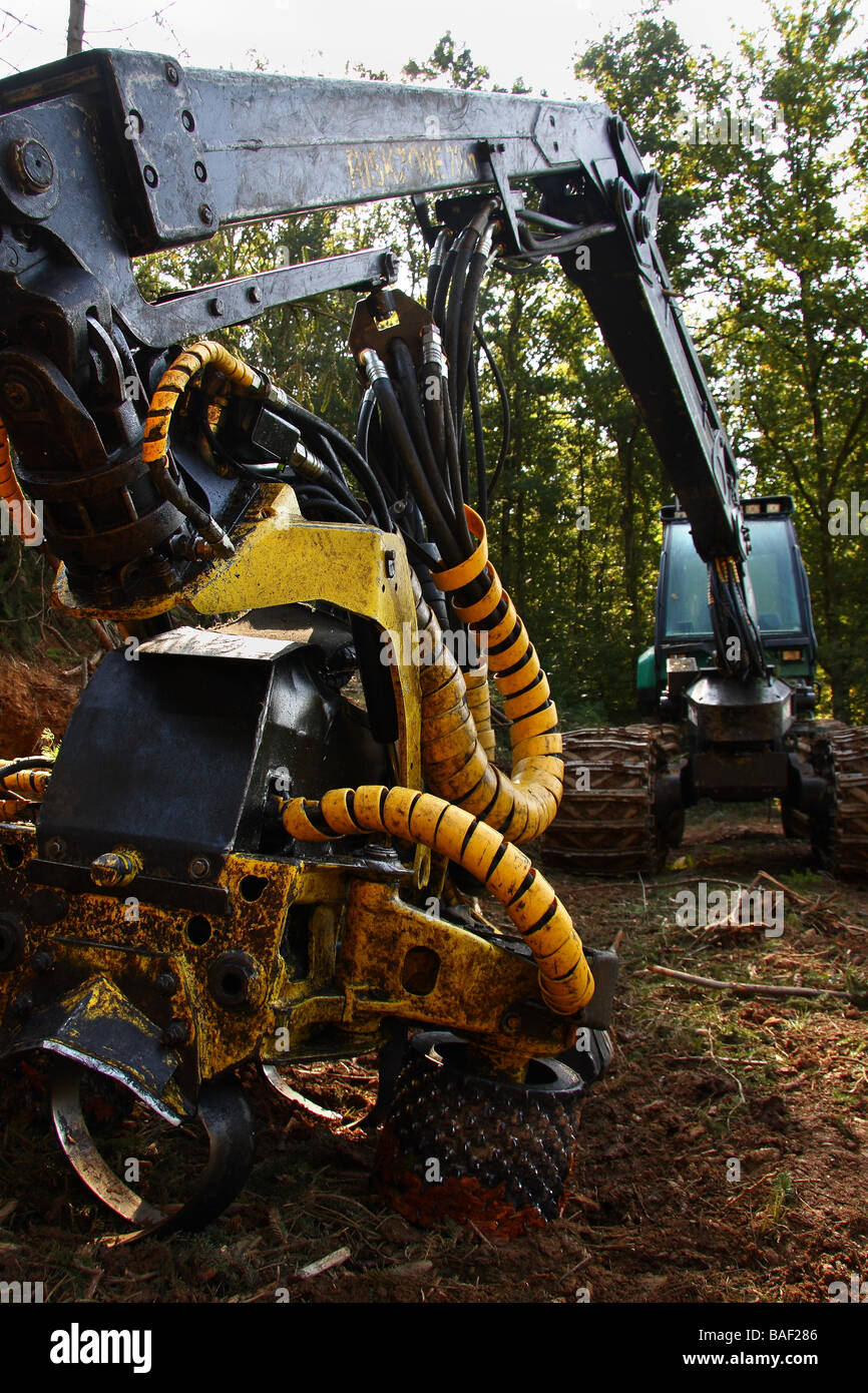 Une machine forestière Timberjack forestiers en Limousin France Banque D'Images