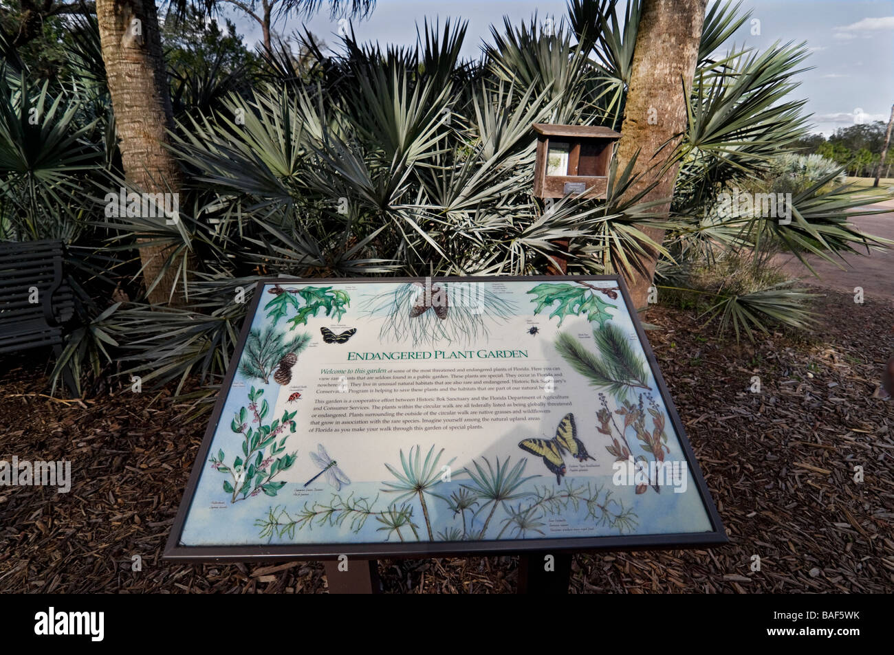 Les Jardins De La Tour Bok National Historic Landmark Lake Wales en Floride espèces de plante jardin Banque D'Images