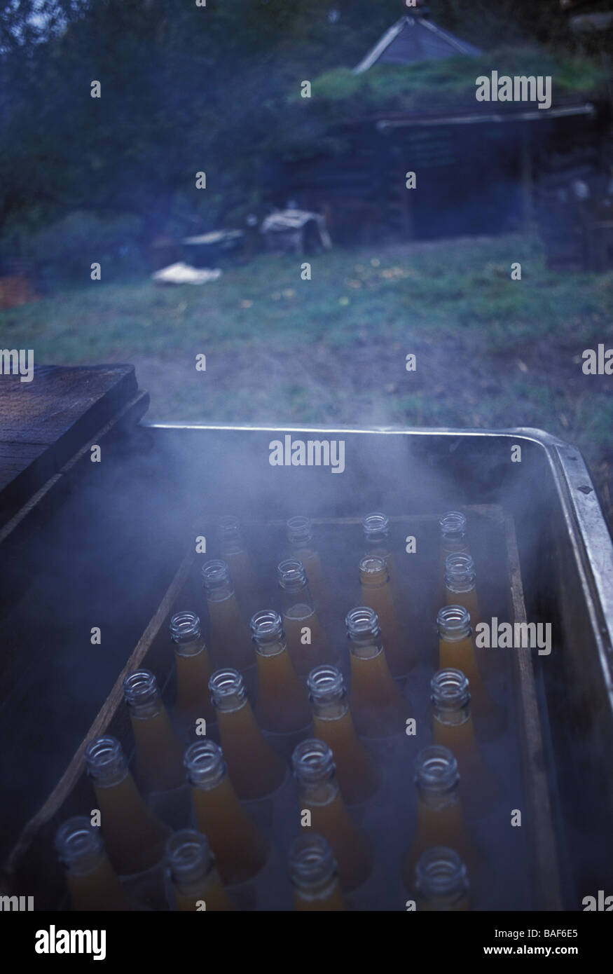 En bouteille de jus de pomme Bramley et placés dans des cuves de pasteurisation Tinker s bubble