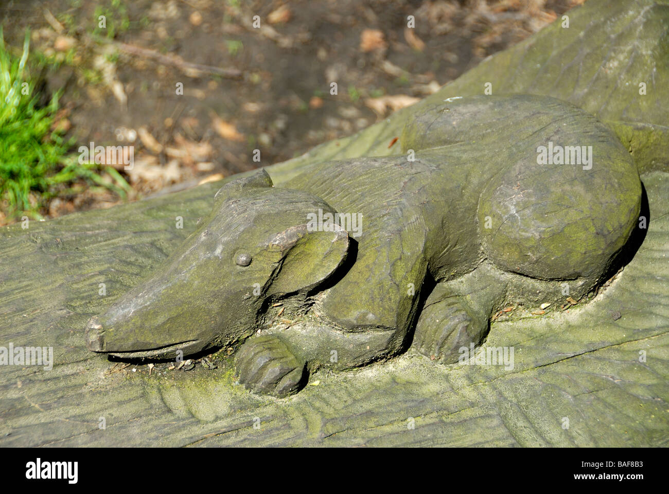 La sculpture sur bois Langdon Hills Country Park in Basildon Essex Banque D'Images