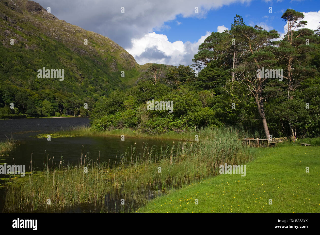 Connemara Kylemore Lake County Galway Irlande Banque D'Images