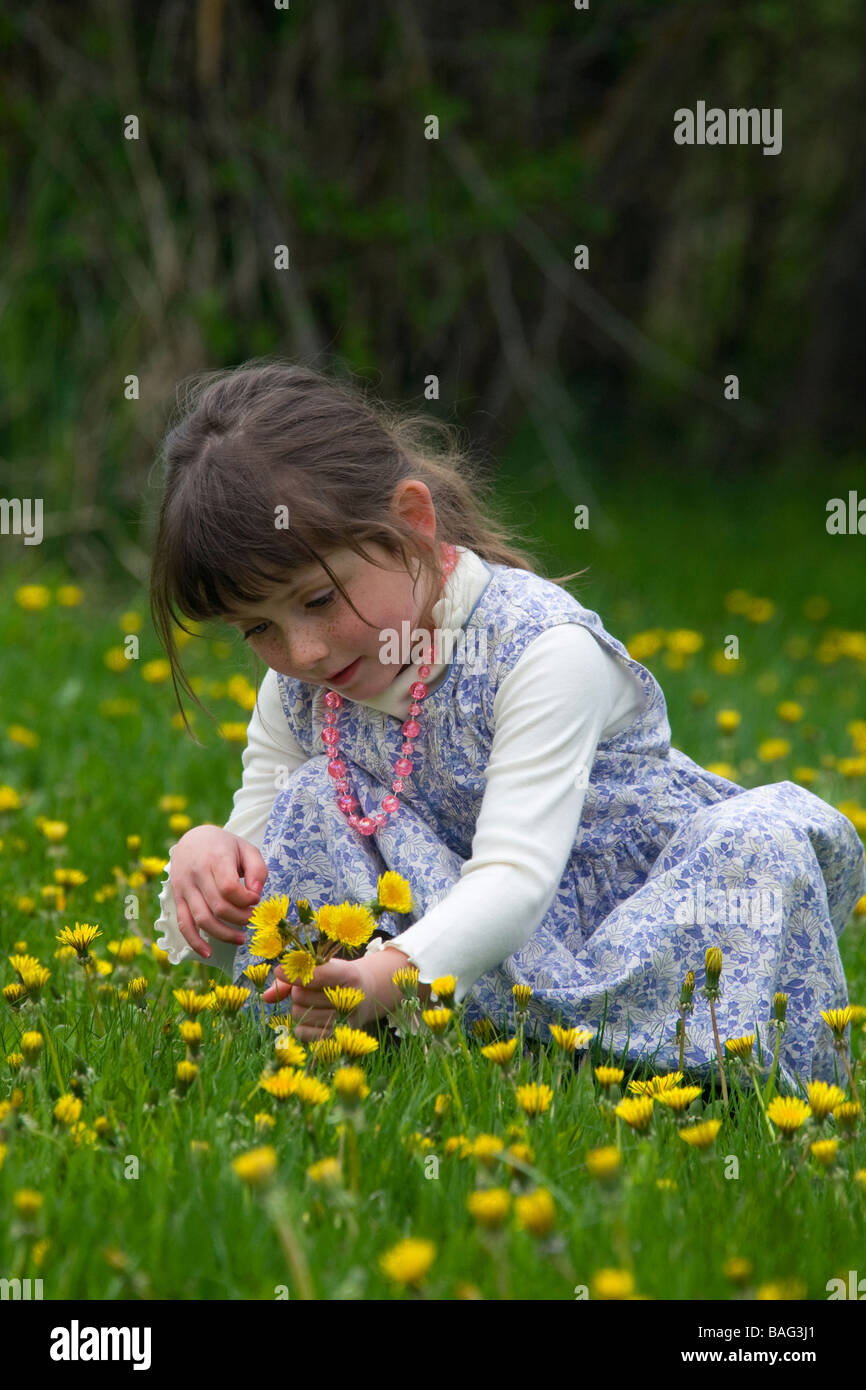 Young Girl Picking Flowers Pemperton British Columbia Canada Banque D'Images