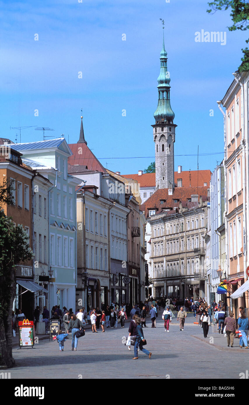 Estonie (pays baltes), la région de Harju, Tallinn, vieille ville, centre historique classé au Patrimoine Mondial par l'Unesco, l'hôtel de ville Banque D'Images
