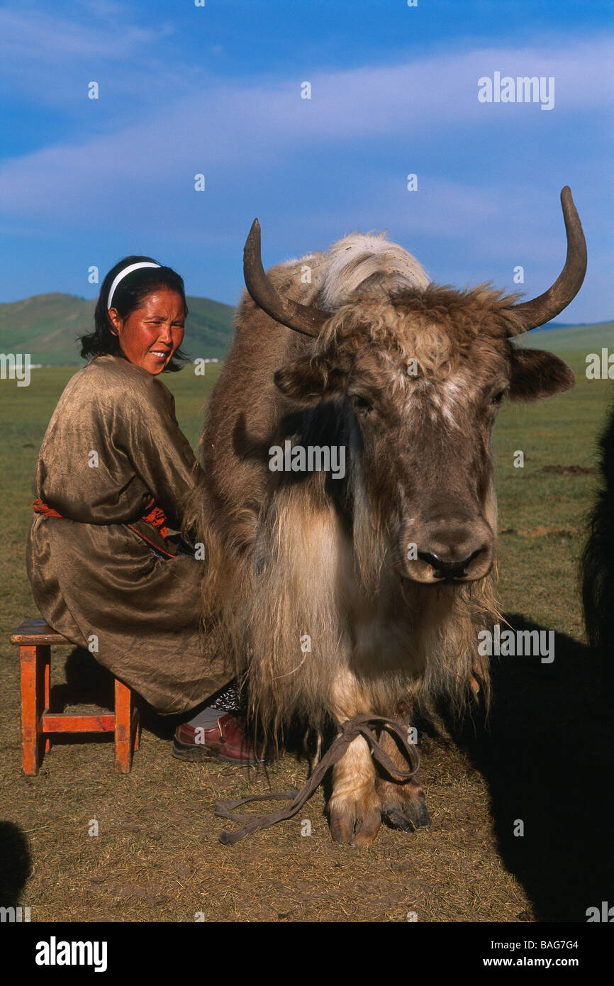 La Mongolie, province Arkhangai, Hotont District, femme nomade un yak de traite Banque D'Images