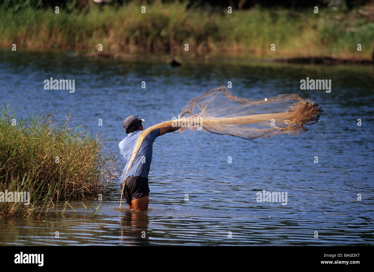 La Malaisie, Bornéo, Sabah Province, Sandakan, le faucon sur l'étang de pêche Banque D'Images