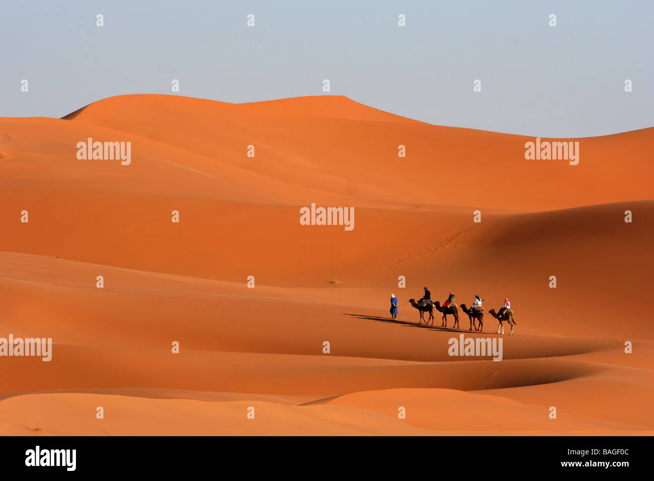 Caravane de chameaux sur l'Afrique s desert Banque D'Images