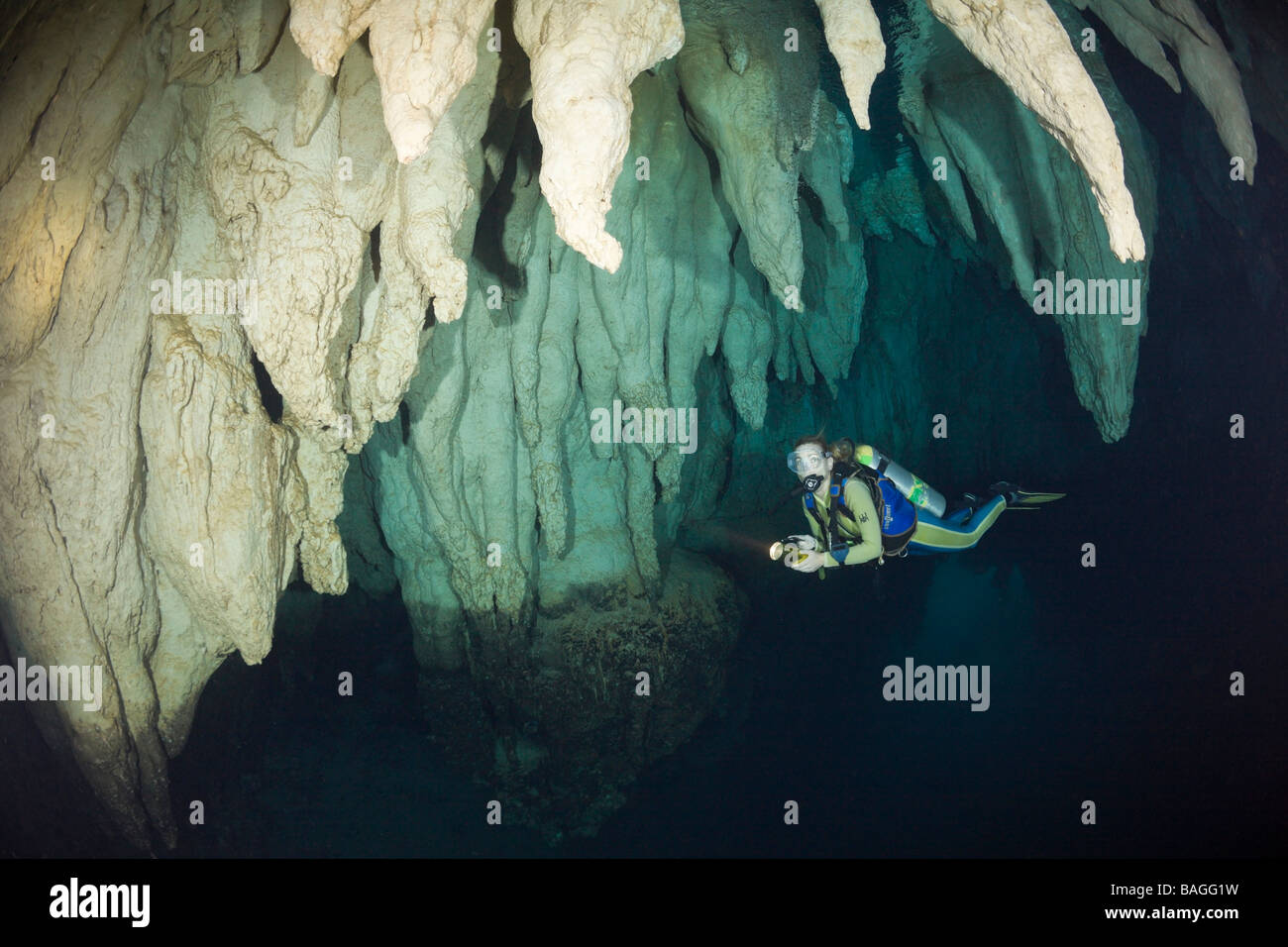 Lustre en plongeur grotte calcaire Micronésie Palau Banque D'Images