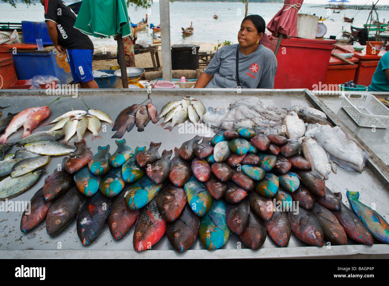 Vendeur de poisson Sea Gypsy à Phuket en Thaïlande du sud Banque D'Images