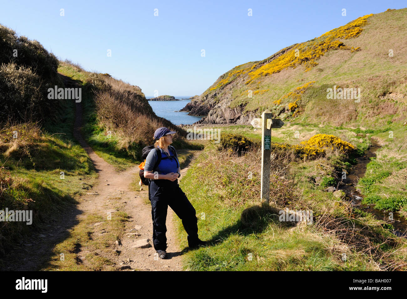 Walker à la femelle au panneau à Bwdy Bay sur la côte de Pembrokeshire Wales UK Banque D'Images