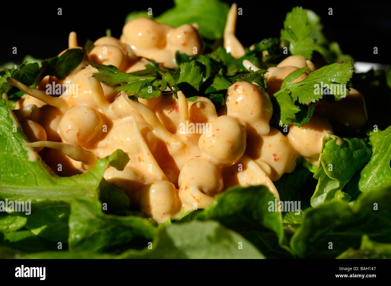 Photo d'une salade de pois chiches Banque D'Images