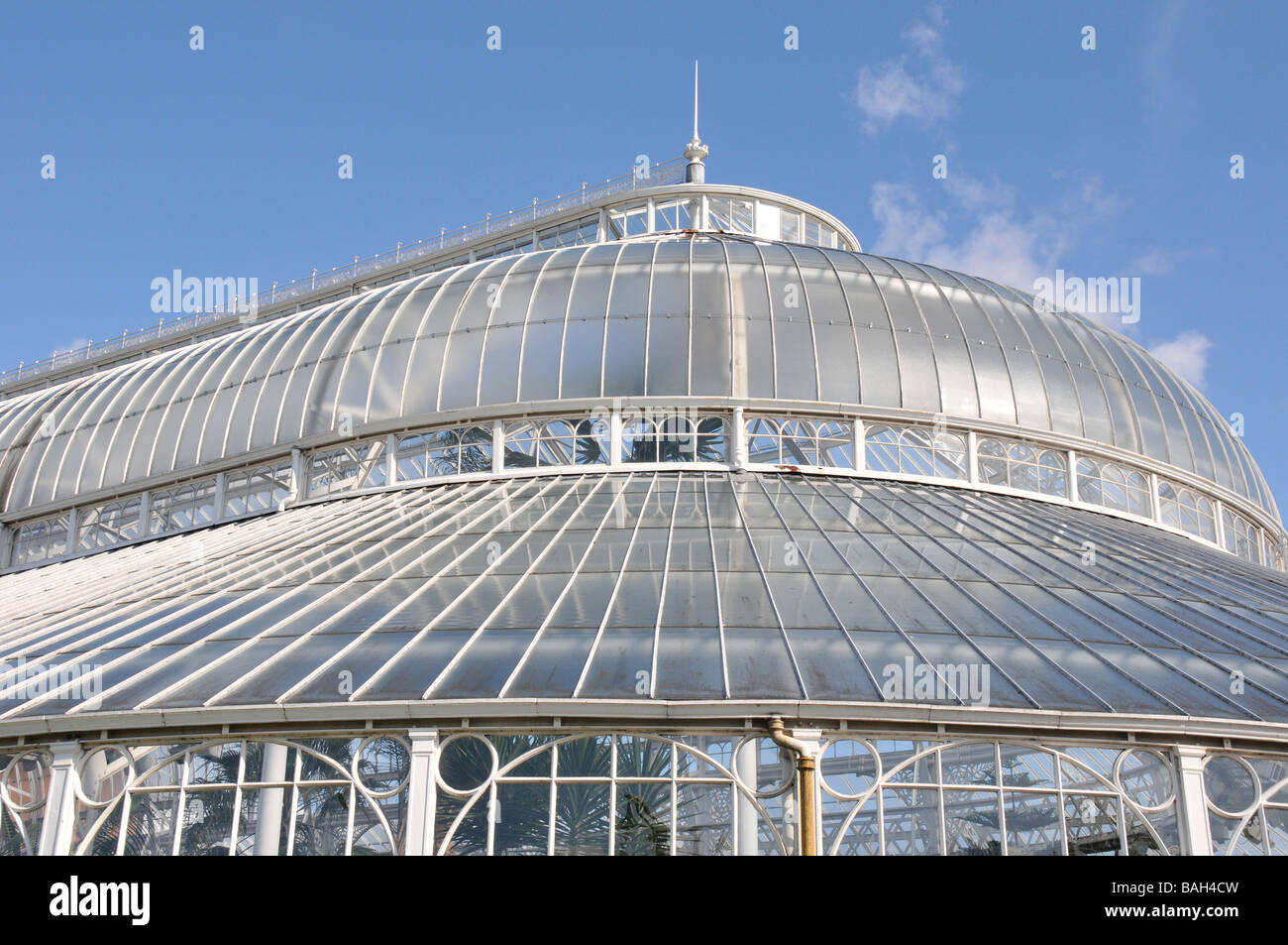 Jardins d'hiver People's Palace Glasgow Green Banque D'Images