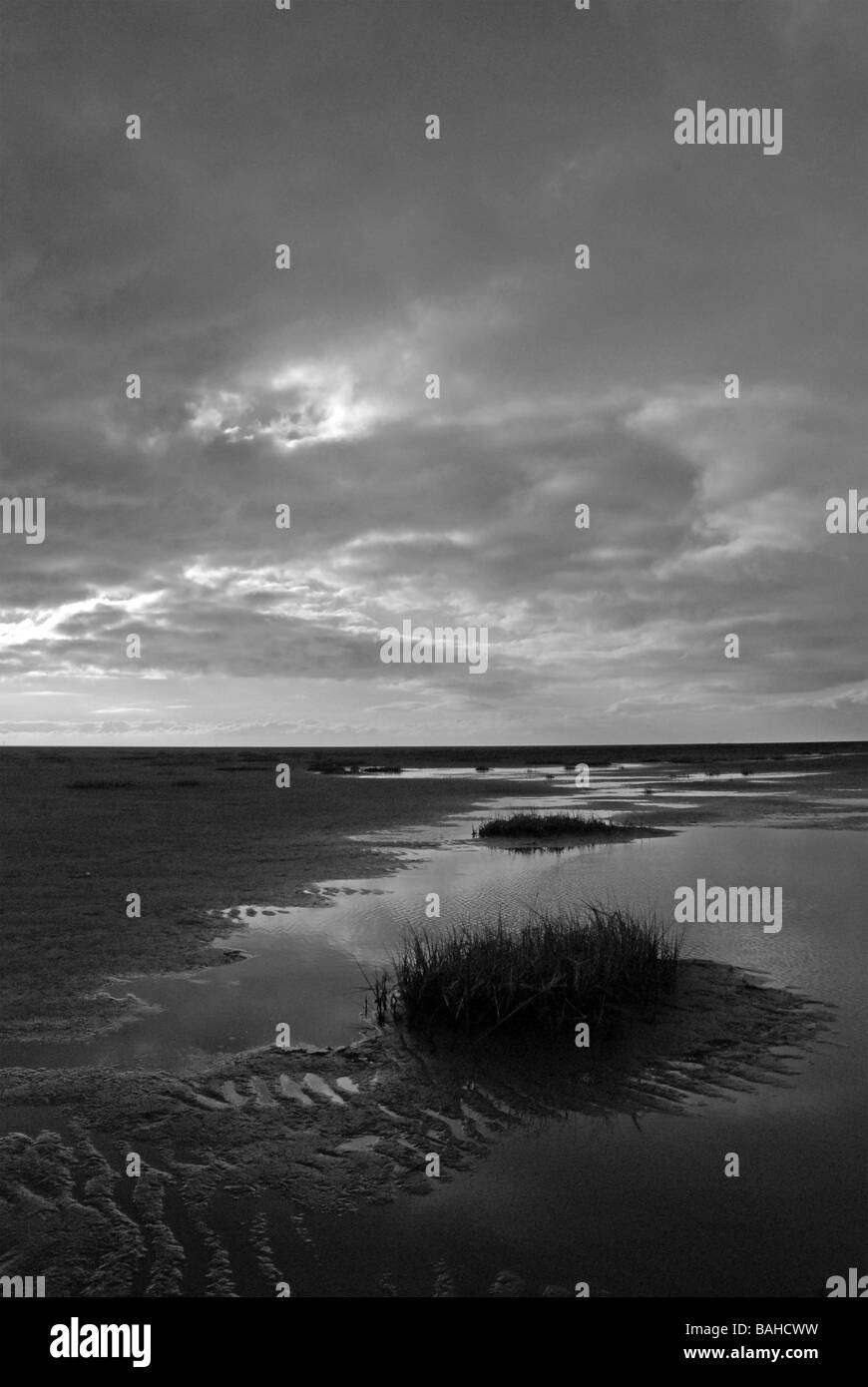 Les bassins de marée sur St Annes beach, Lancashire Banque D'Images