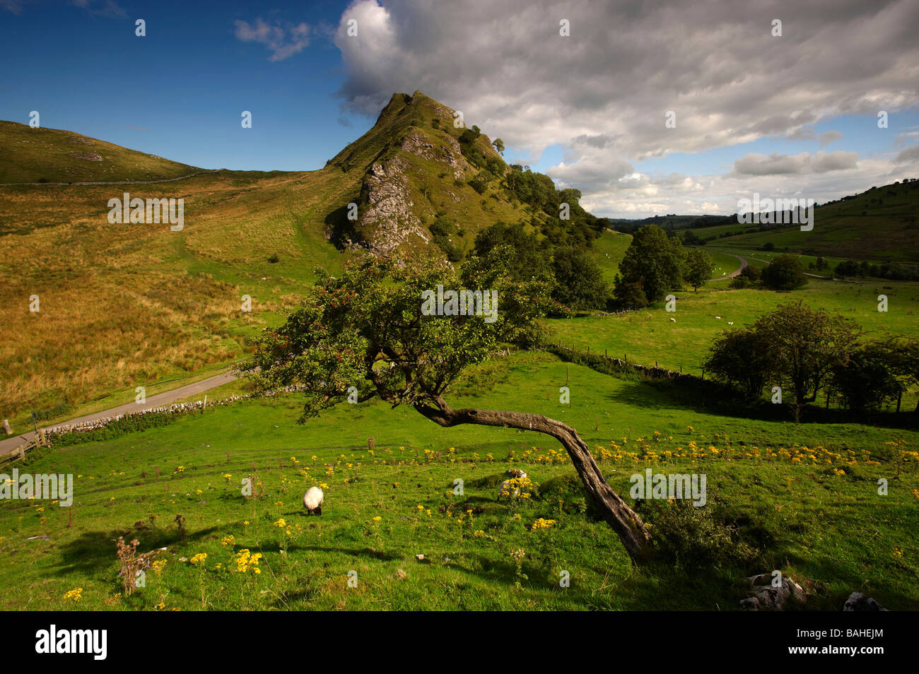 Parkhouse Hill de Chrome Hill, parc national de Peak District, Derbyshire, Angleterre Banque D'Images