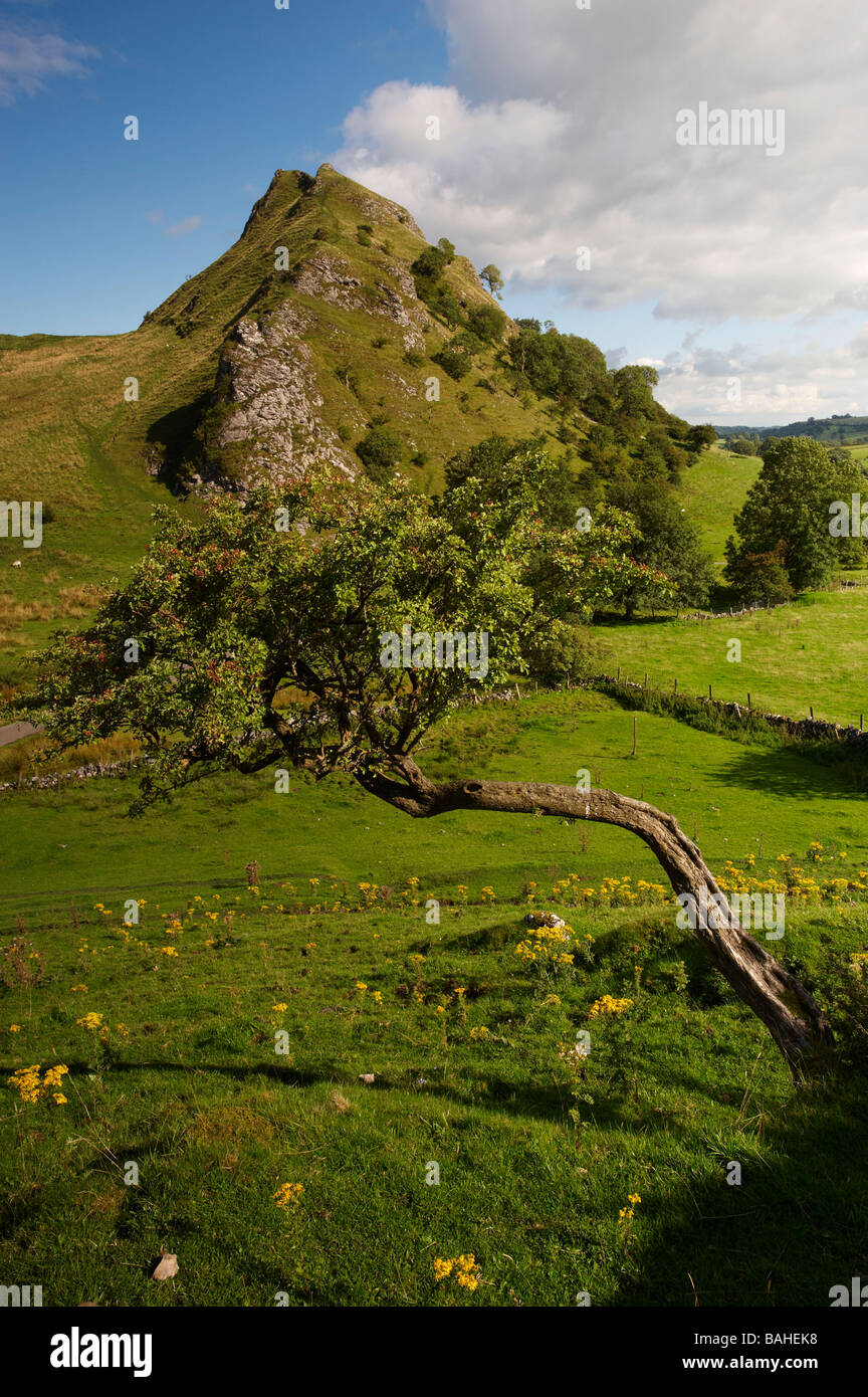 Parkhouse Hill de Chrome Hill, parc national de Peak District, Derbyshire, Angleterre Banque D'Images