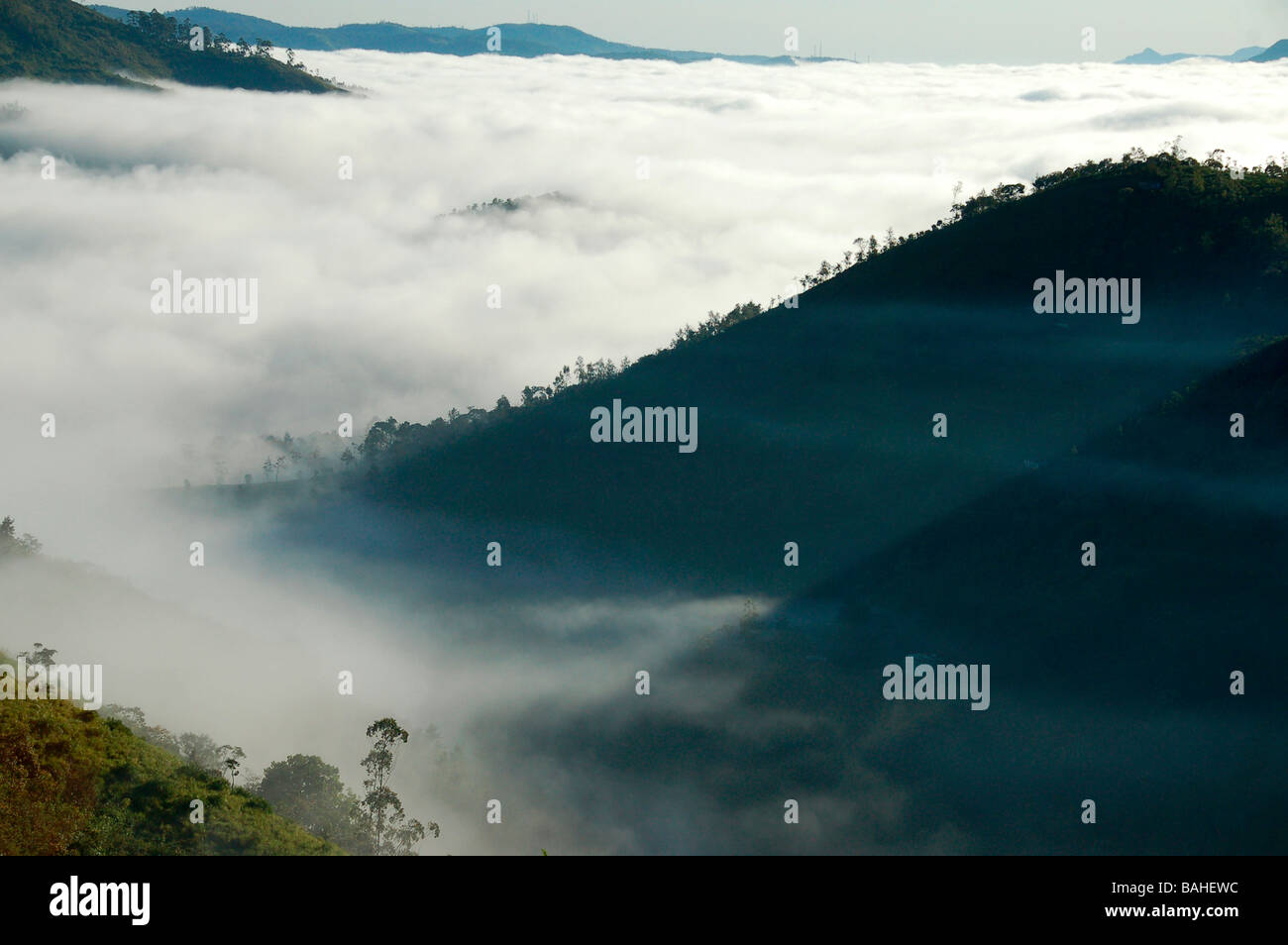 Vue de l'Parunthu peeru,para près de medu Idukki, Kerala Banque D'Images