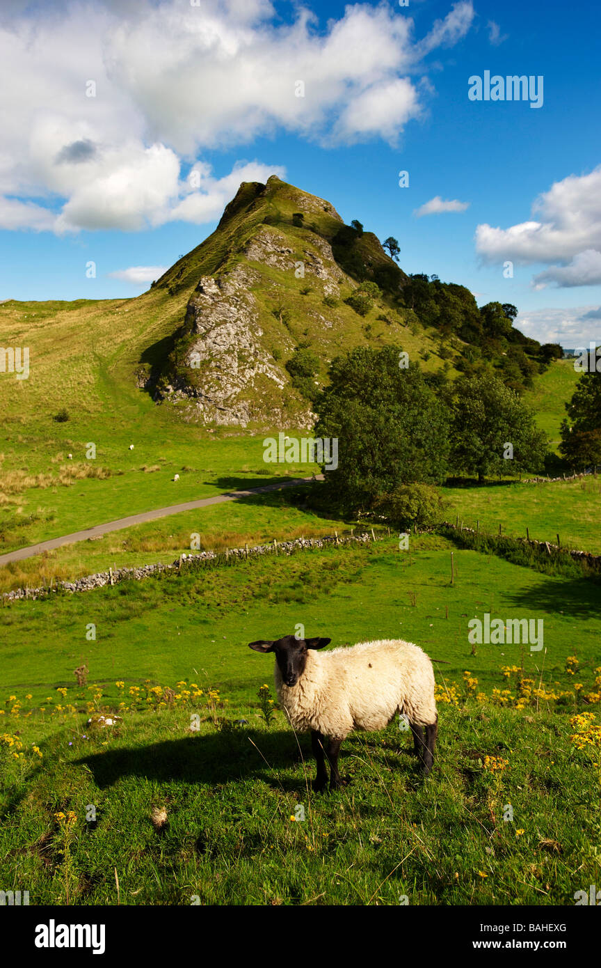 Parkhouse Hill de Chrome Hill, parc national de Peak District, Derbyshire, Angleterre Banque D'Images
