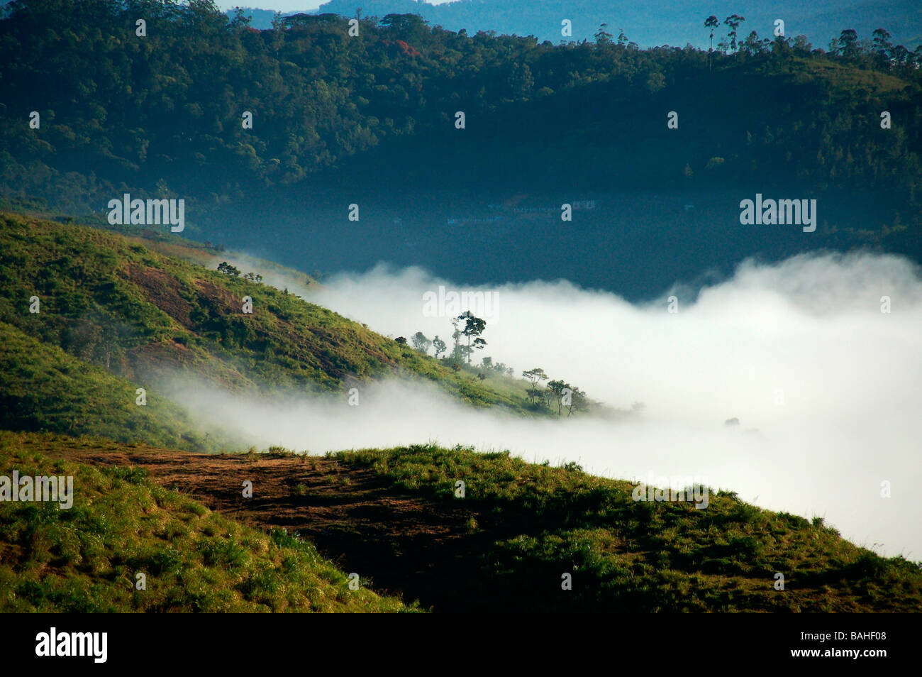 Vue de l'Parunthu peeru,para près de medu Idukki, Kerala Banque D'Images