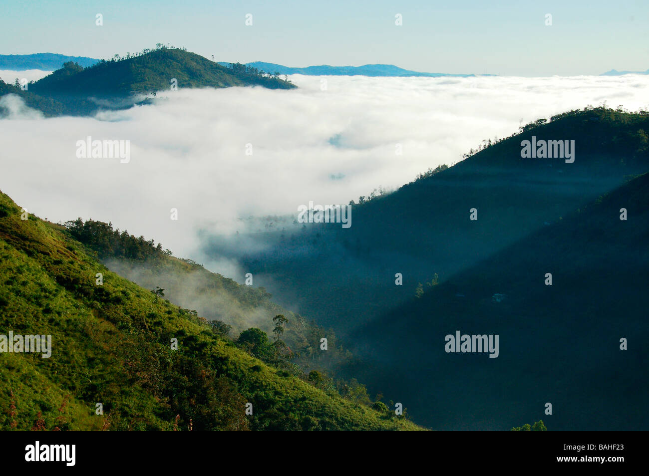 Vue de l'Parunthu peeru,para près de medu Idukki, Kerala Banque D'Images