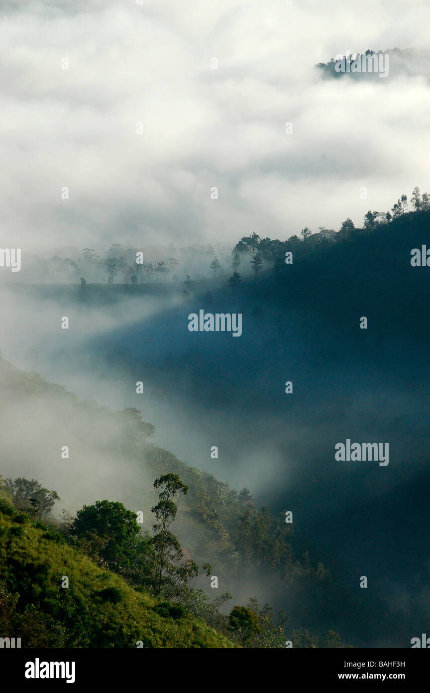 Vue de l'Parunthu peeru,para près de medu Idukki, Kerala Banque D'Images