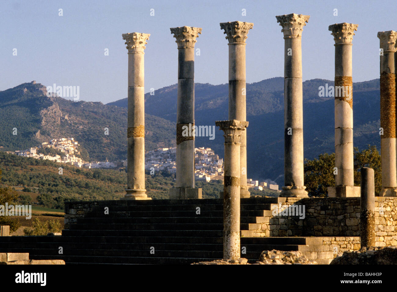 Volubilis, Maroc, afrique Banque D'Images