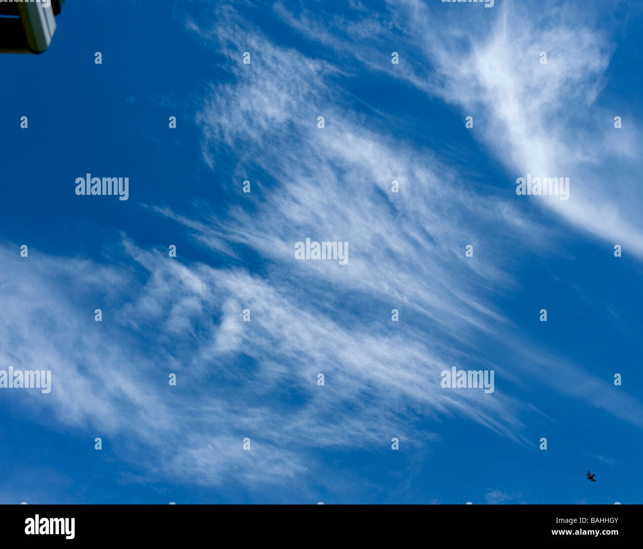 Une vue vers le haut d'un ciel bleu avec des nuages cirrus et angle de toiture et un oiseau volant. Banque D'Images