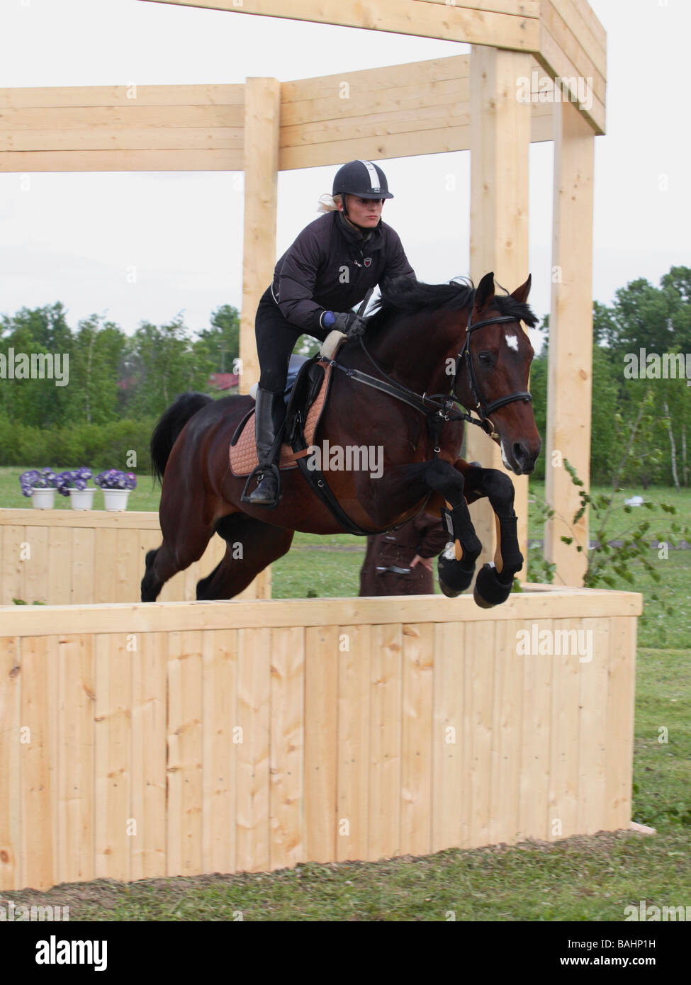 Hunter saut à cheval une clôture Banque D'Images