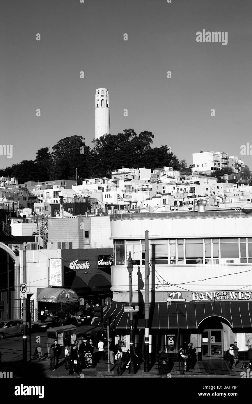 San Francisco, CA, North Beach et la Coit Tower Photographie Banque D'Images