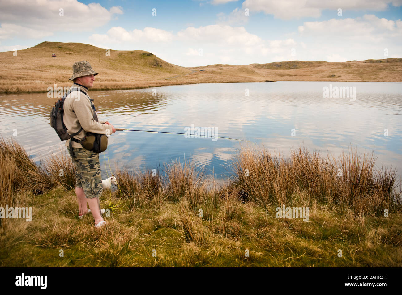 Un pêcheur La pêche à la mouche de la truite indigène sur Llyn lac Egnant Ceredigion upland West Wales UK Banque D'Images