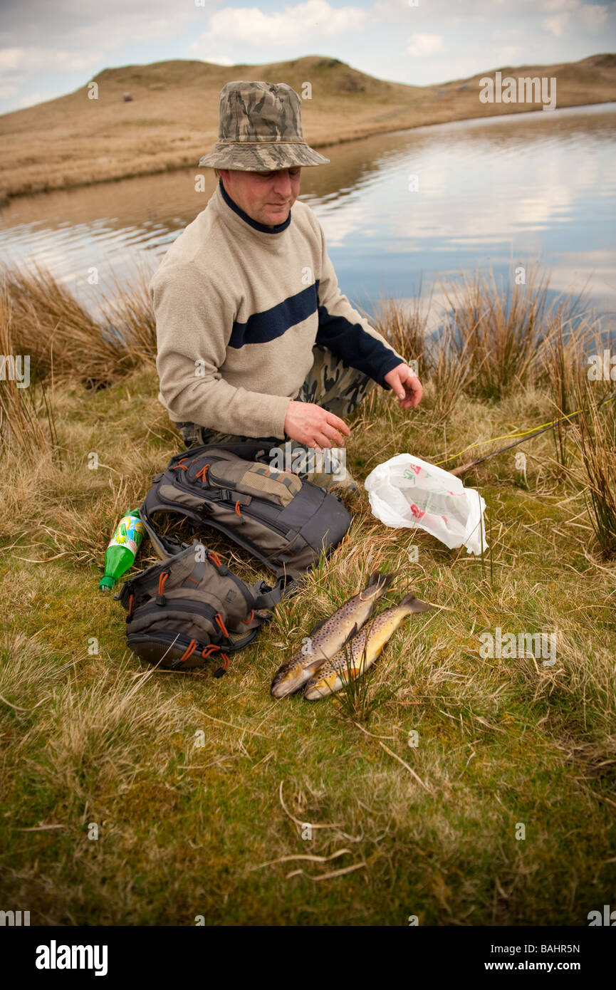 Un pêcheur La pêche à la mouche de la truite indigène sur Llyn lac Egnant Ceredigion upland West Wales UK Banque D'Images
