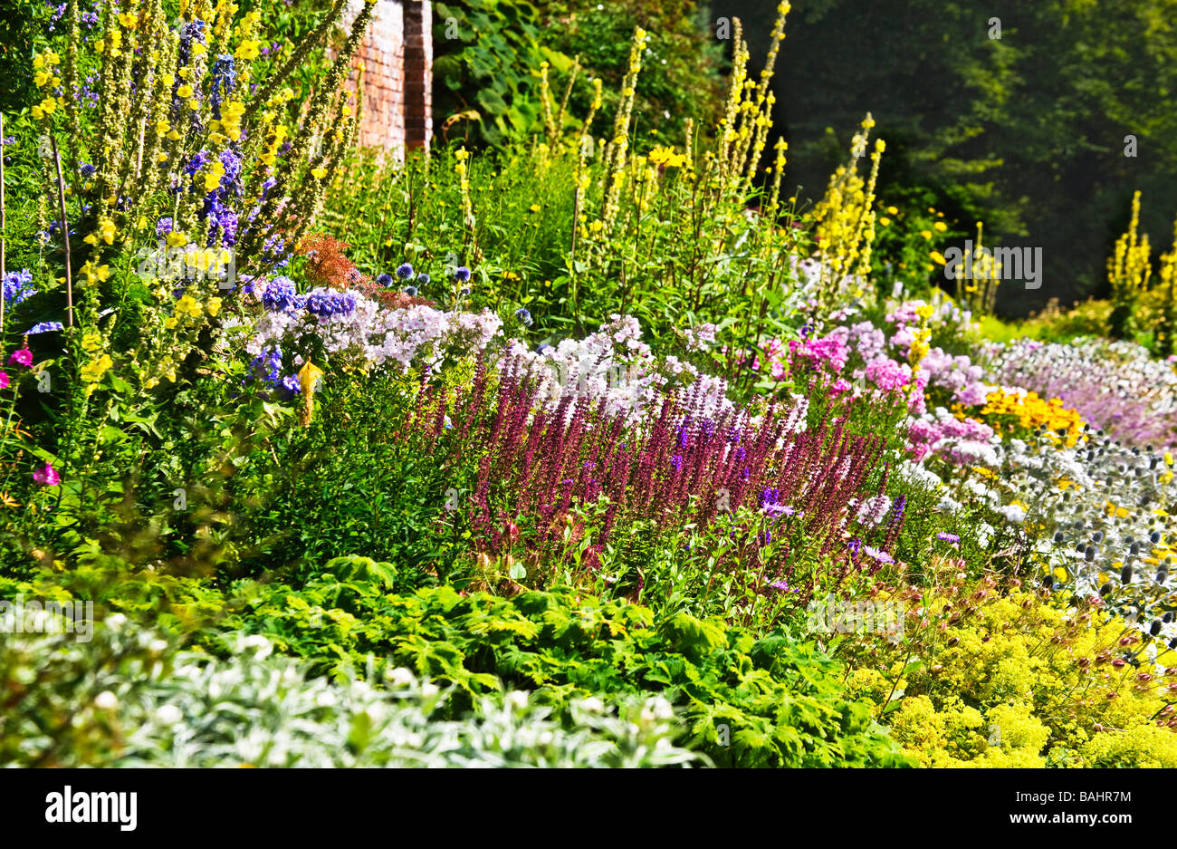 Une partie de la frontière à herbacées Jardins Waterperry, Wheatley, Oxfordshire, Angleterre, Oxon, UK Banque D'Images