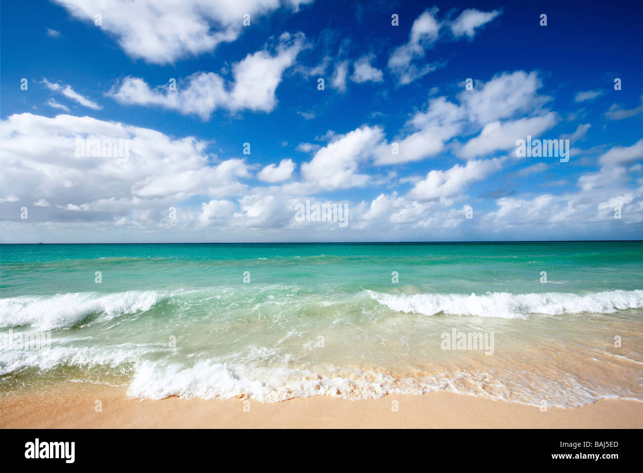Belle plage et des vagues de la mer des Caraïbes Banque D'Images