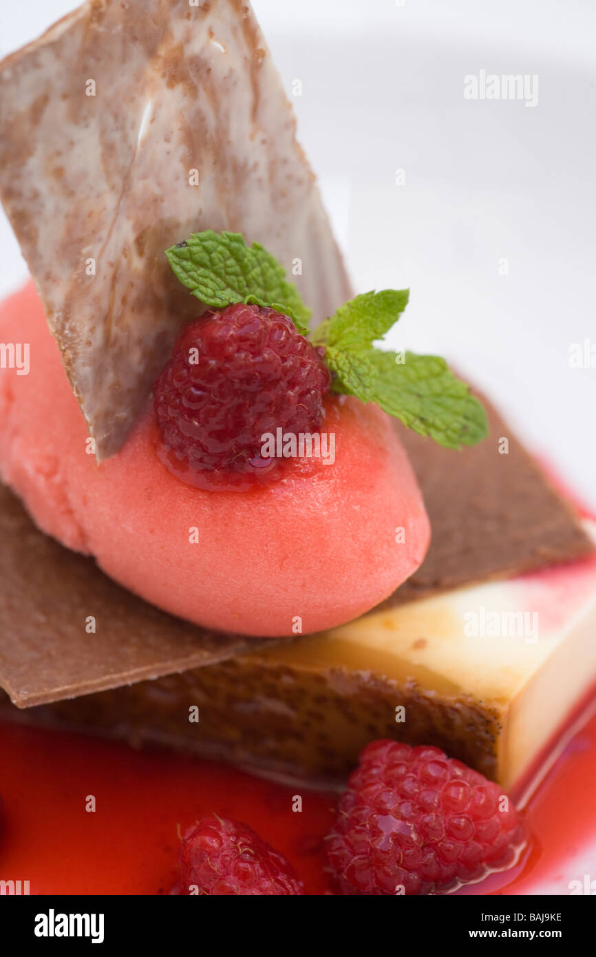 Glace à la framboise avec du chocolat et de crème Brulé Banque D'Images