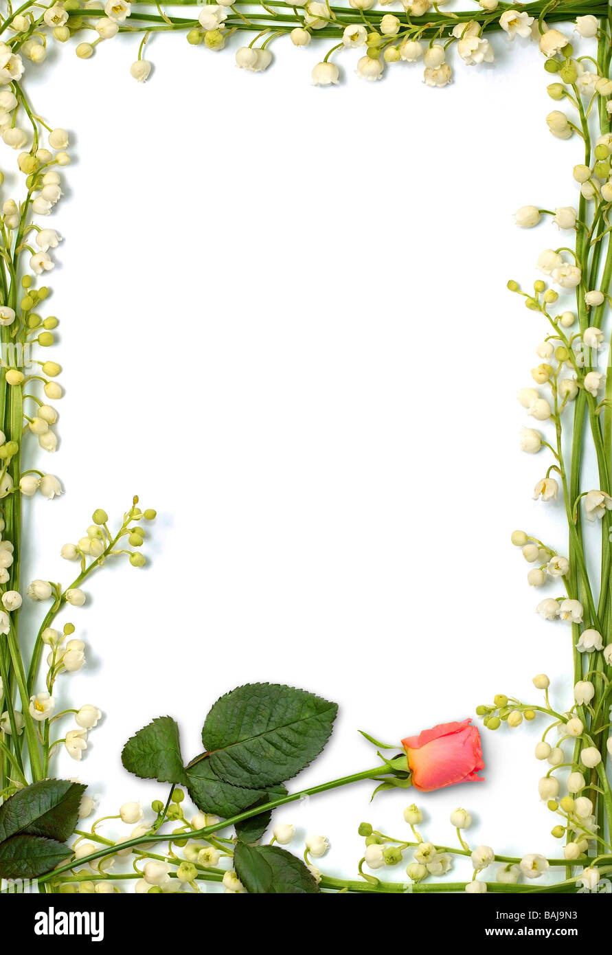 Lettre d'amour cadre fabriqué à partir de fleurs d'arrière-plan conceptuel verticale Banque D'Images