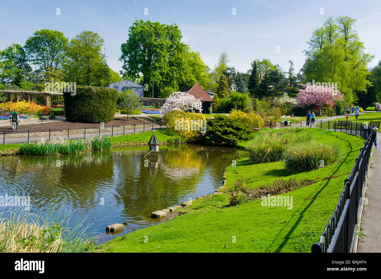 Printemps de Golders Hill Park Golders Green Duck Pond & jardins ornementaux et cerisiers ciel bleu Banque D'Images
