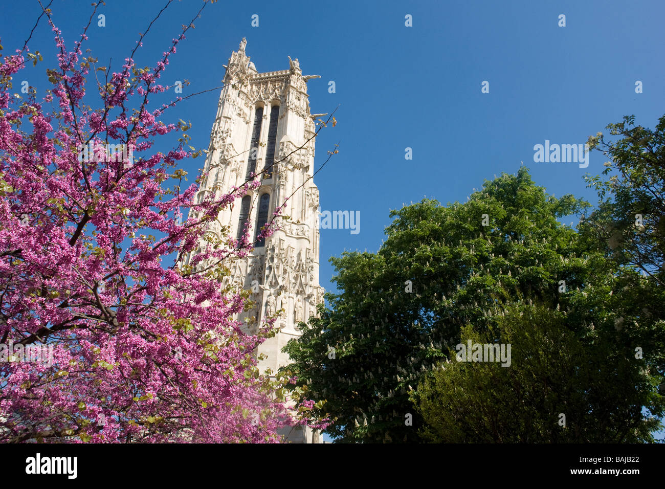 Tour Saint-Jacques (Paris, France), ou Saint Jacques la boucherie Banque D'Images