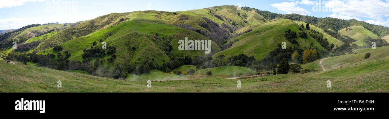 Randonnée de Waeranga pano Banque D'Images