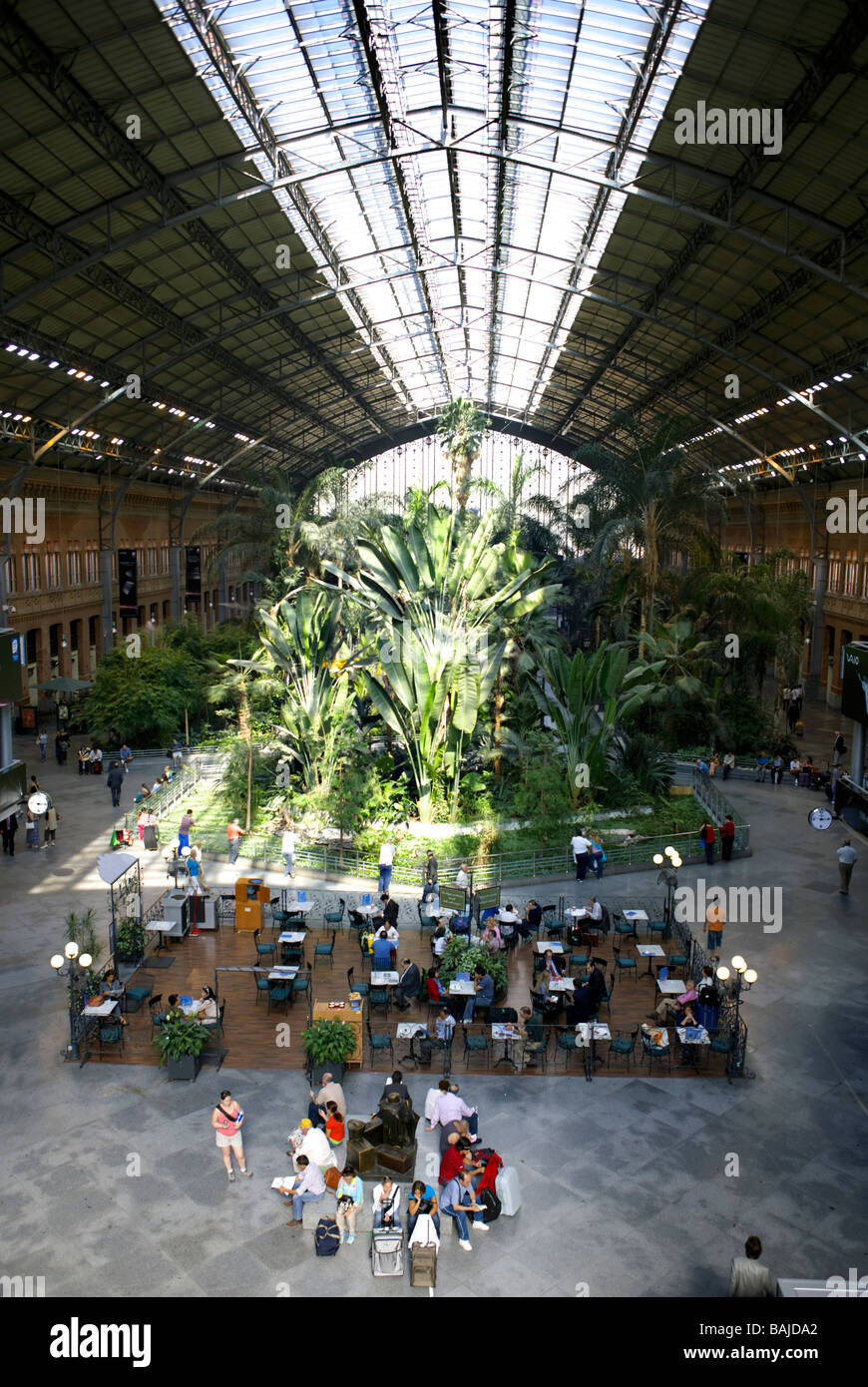 Intérieur de l'Estación de Atocha Gare avec sa piscine jardin botanique, Madrid, Espagne, Europe, Banque D'Images