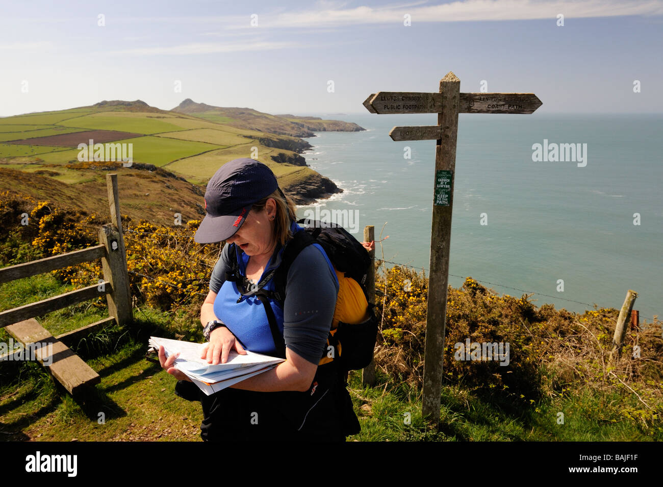 Femme walker la lecture d'un site sur le chemin de Pembrokeshire Coast entre Abereiddy et Whitesands Bay Wales UK Banque D'Images