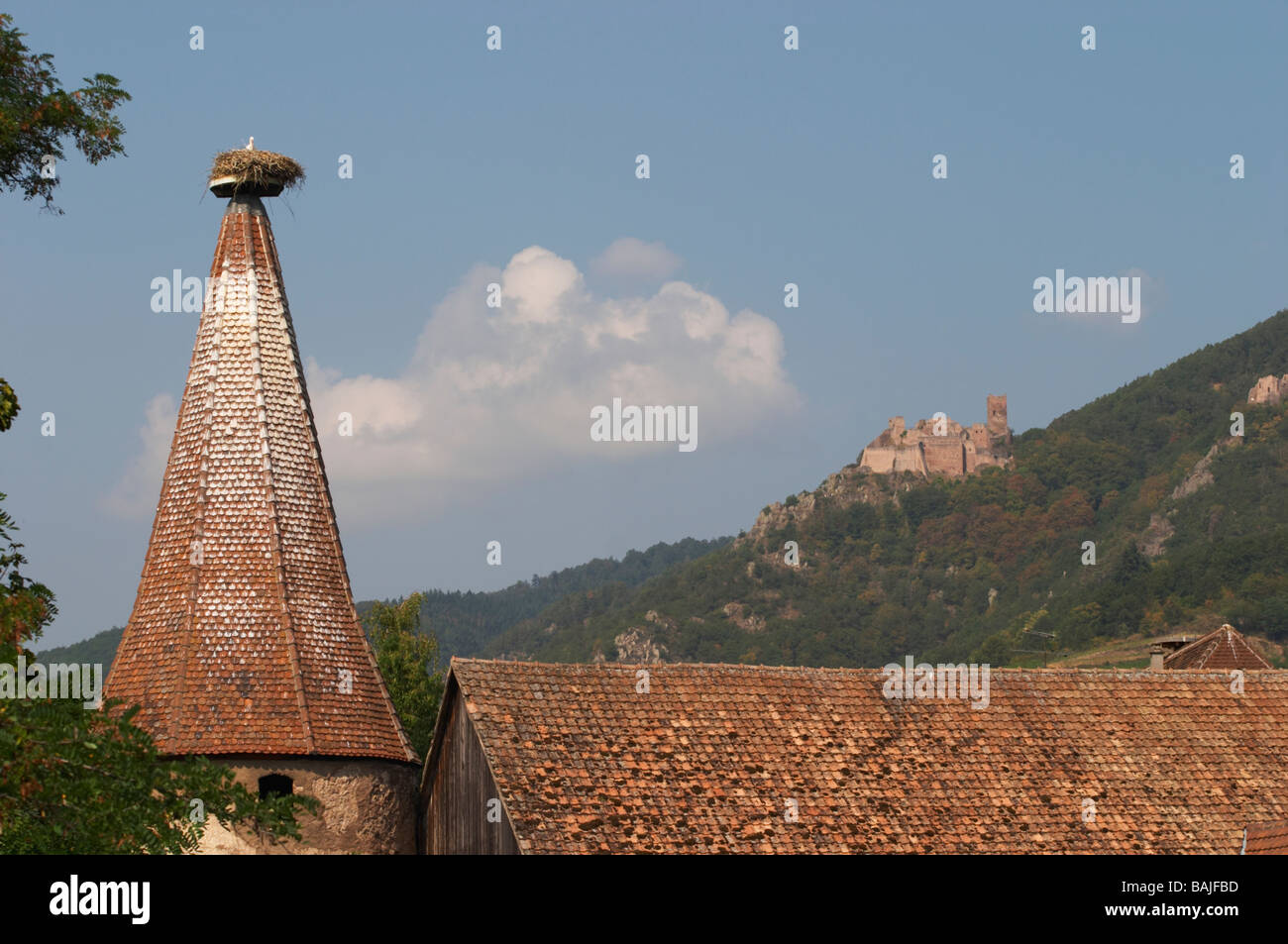Nid de cigogne sur le toit ch. st ulrich en retour ribeauville alsace france Banque D'Images