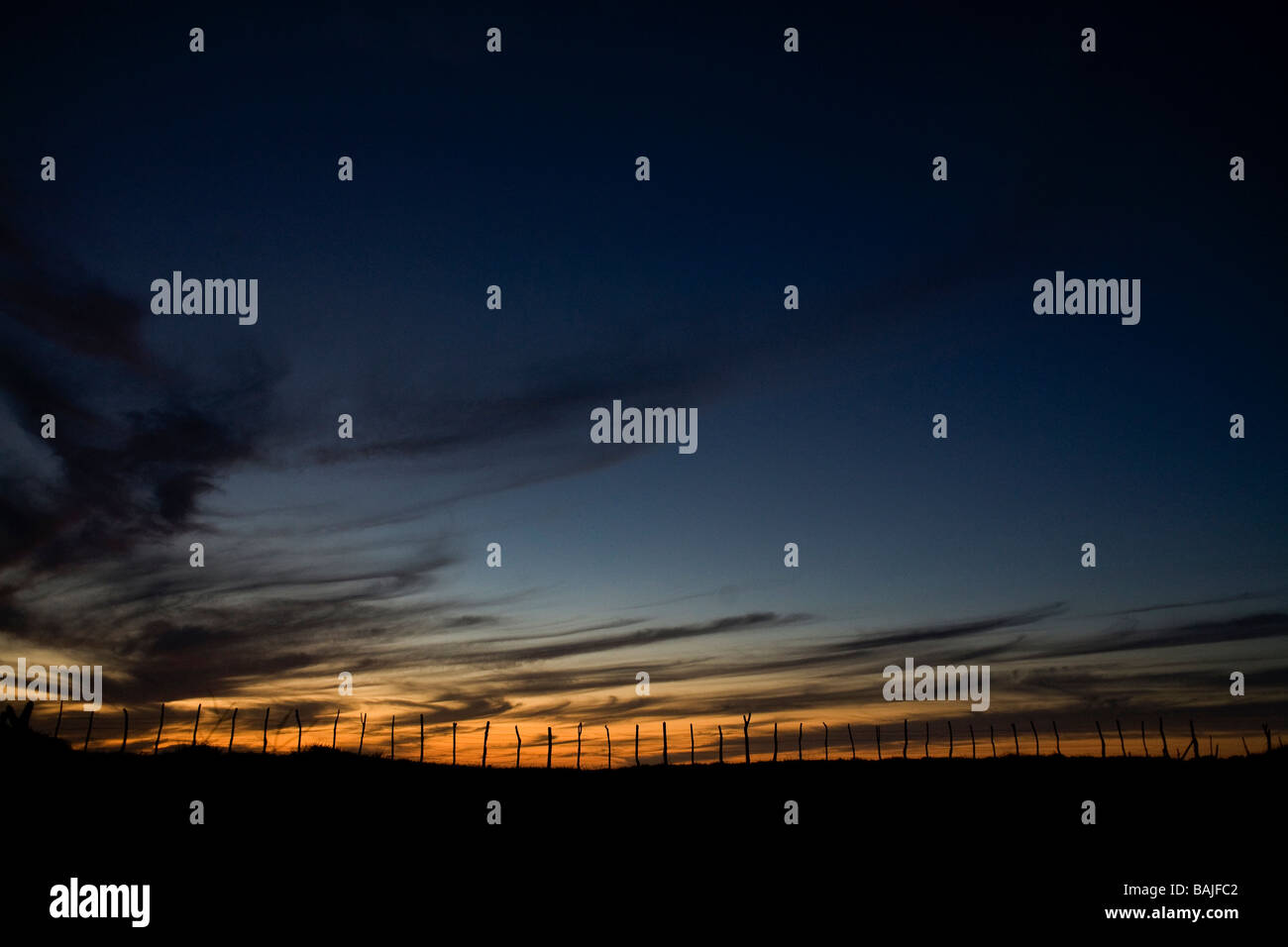 La fin de journée le coucher du soleil s'allume les poteaux de clôture en Baja California Sur. Todos Santos, Mexique. Banque D'Images