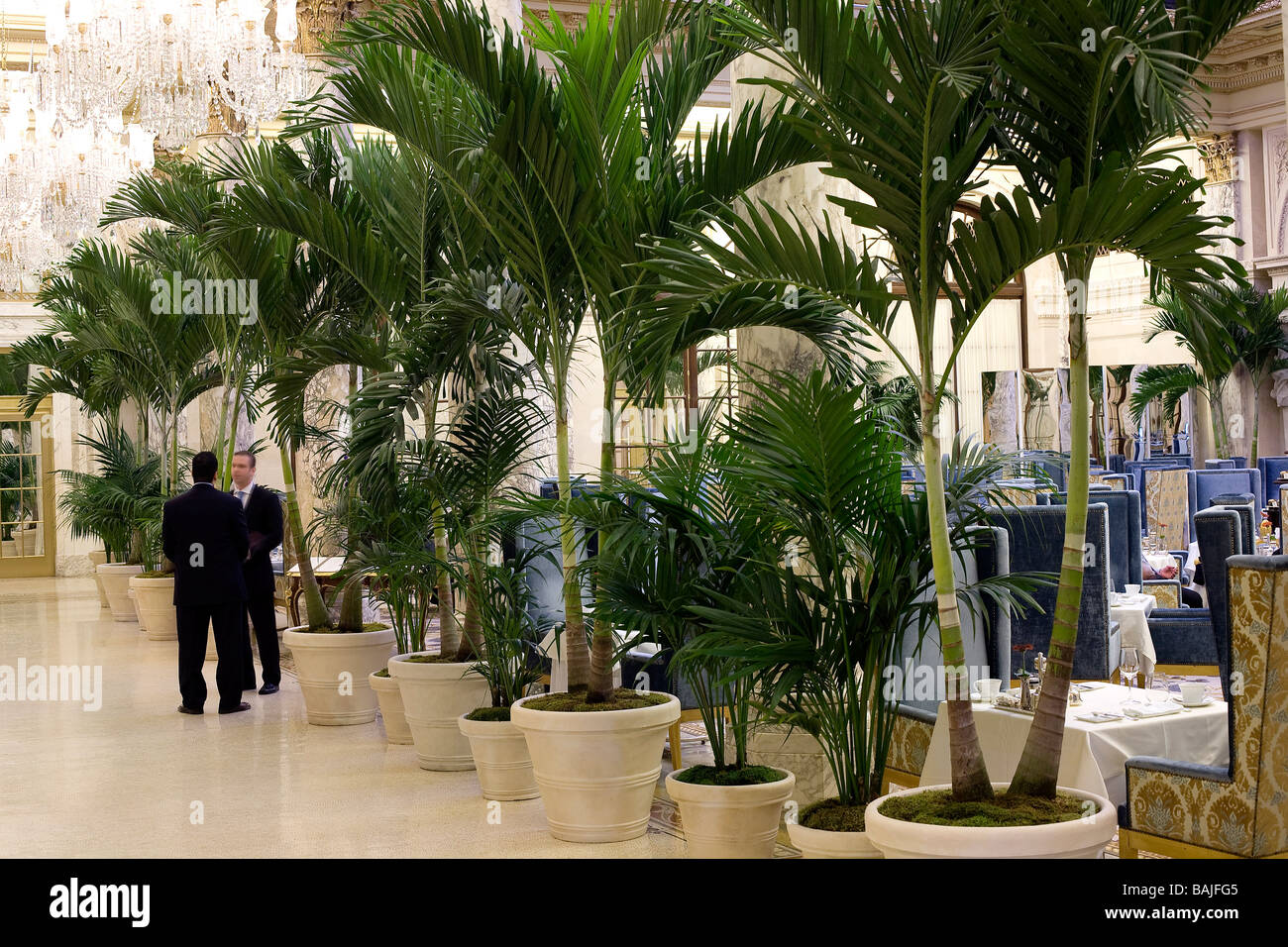 United States, New York, Manhattan, à l'angle de la 5e Avenue et de Central Park, l'hôtel Plaza, l'entrée du Palm Court Banque D'Images